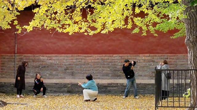 新华视点｜文旅消费提质升级 多地经济焕发冬日新活力