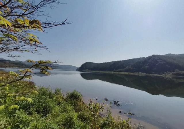 中日航班取消了,一些中国游客滞留日本,他们想回国,但是回不去