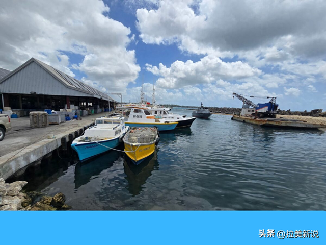 从废墟到韧性：巴巴多斯渔业的飓风灾后重建之路