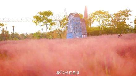 重阳节将至武汉多家景区免票
