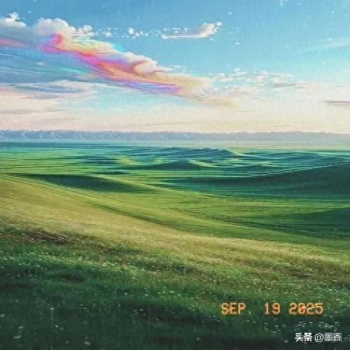 励志句子唯美短句（生活自会温柔以待的优美句子）