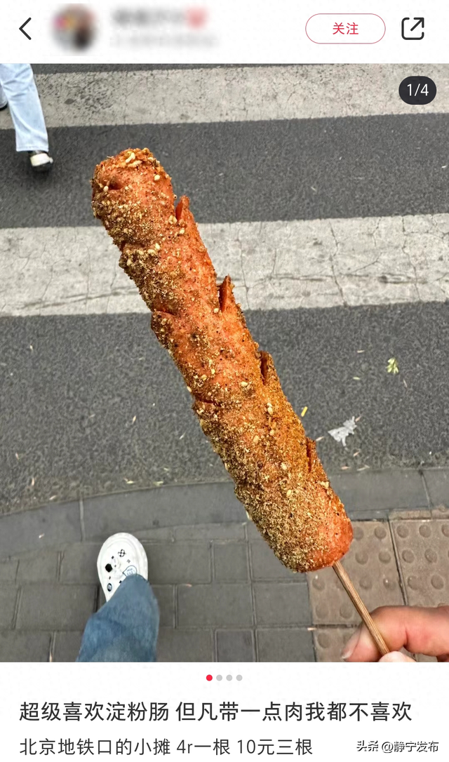 静宁优化seo（路边3块钱的烤肠）