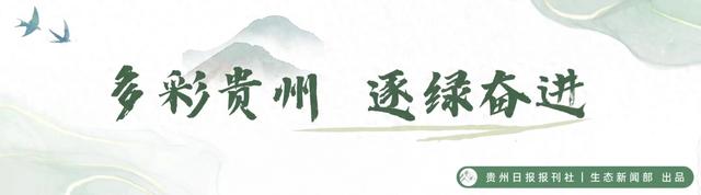 【生态资讯】贵州梵净山荣膺“2026亚洲100必打卡景点”榜单