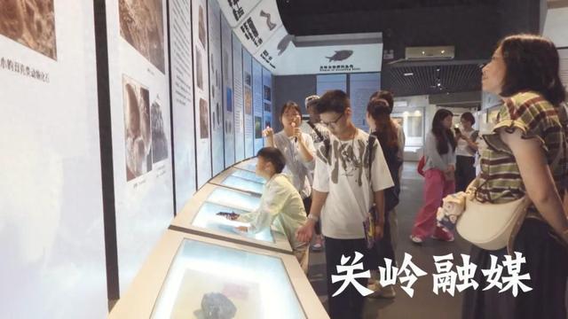 关岭化石群国家地质公园迎来暑期旅游热潮