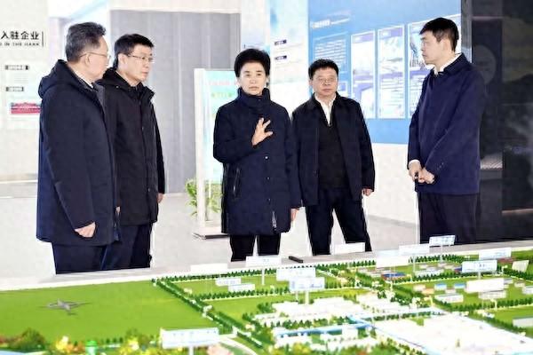 党结构优化（梁惠玲在七台河市宣讲党的二十届四中全会精神并调研时强调 培育新动能新增长点 促进经济结构优化升级）