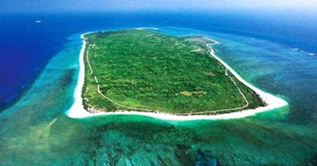 西沙生态条件最好的东岛开始大规模基础建设，400野牛生存了370年