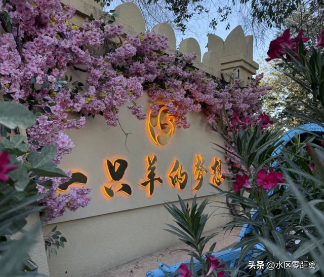 乌鲁木齐市水磨沟区——跑马逛吃两不误！2025乌鲁木齐马拉松水磨沟区赛段“美食+景点”简版攻略来了