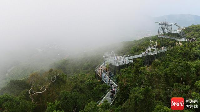 组图｜“海南避暑”成真 游客漫步三亚亚龙湾热带天堂森林旅游区
