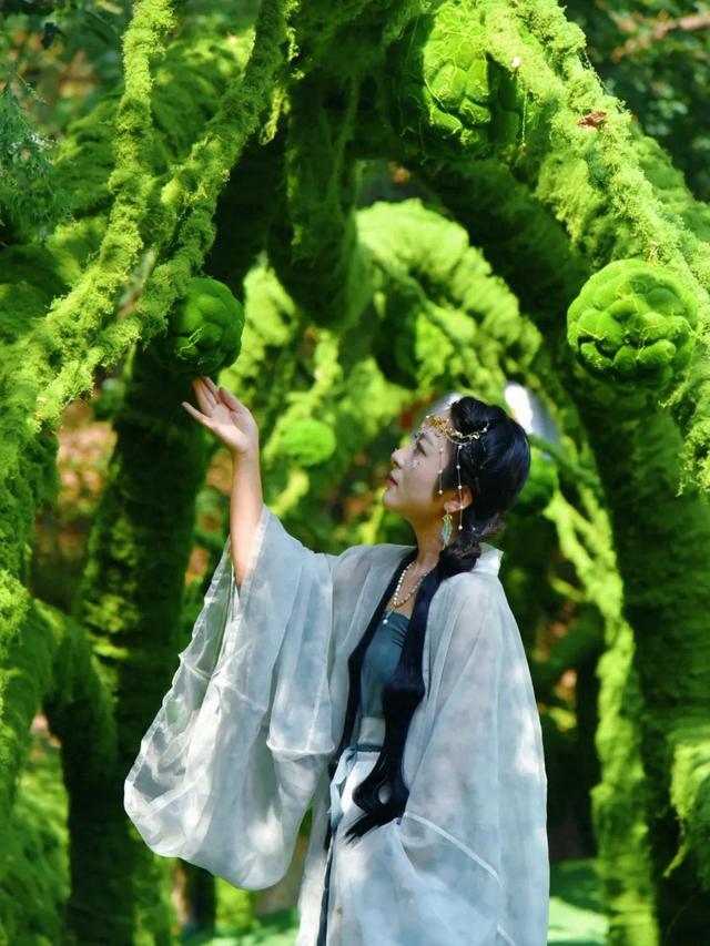 神农山景区「绿野仙踪」全新上线！许你一个清凉又出片的盛夏！