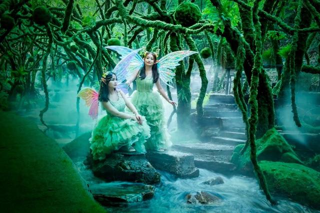 景区采用“塑料叶子、毛线编织青苔”被指造假，回应：是人造打卡点，无虚假宣传