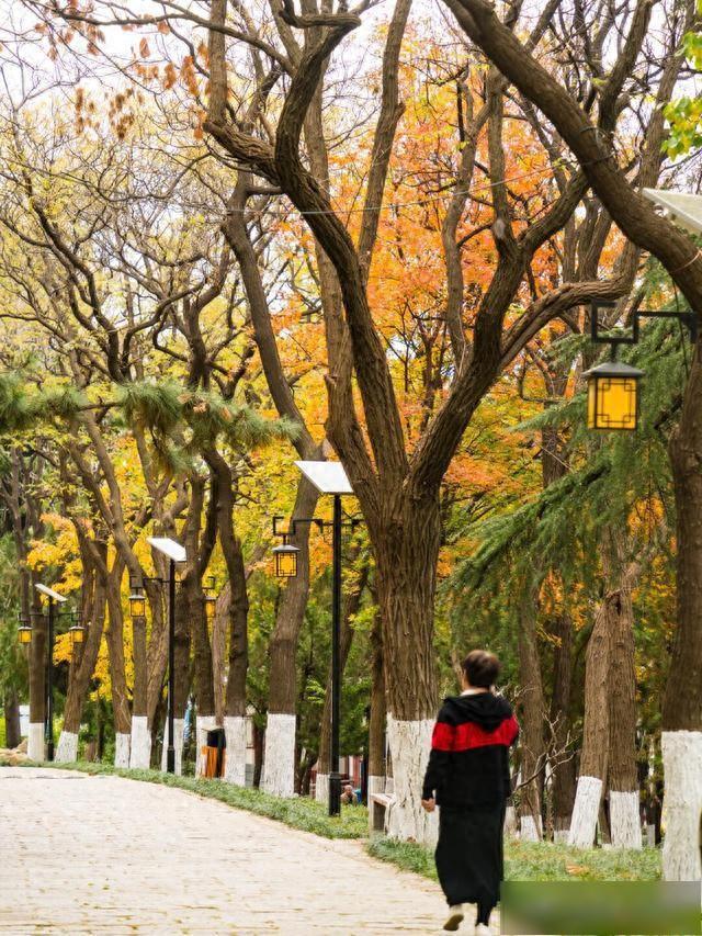 【乐游烟台】烟台这10个神仙公园，我逢人就夸