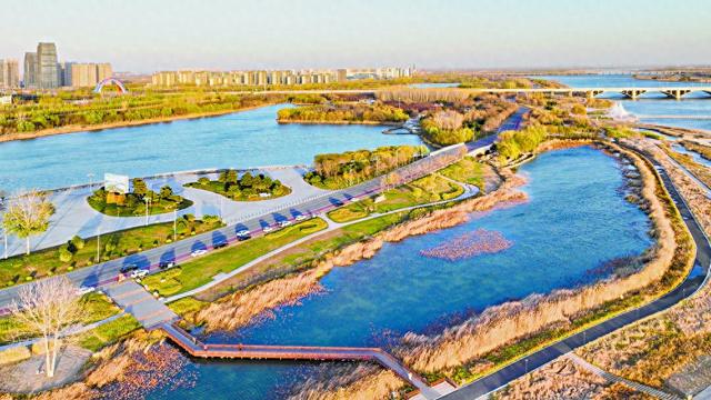 一河碧波 百鸟争鸣——石家庄滹沱河生态区（城区段）绘就城河相拥新景