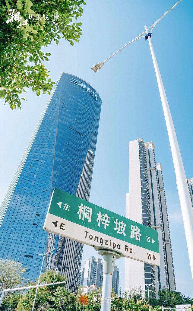 这样的桐梓坡，你一定没见过！