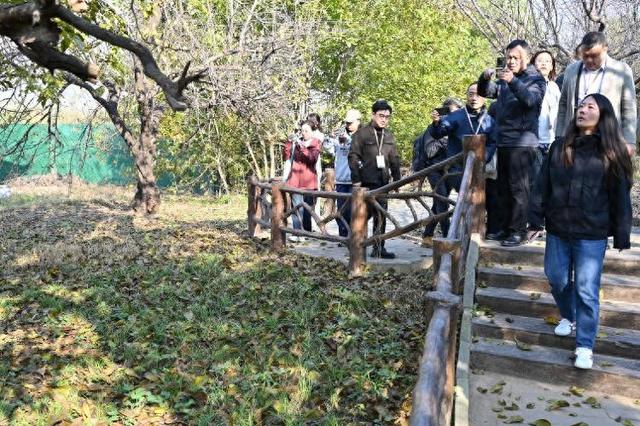 沿着黄河遇见海丨农旅融合多元业态让古老黄河故道焕发新生