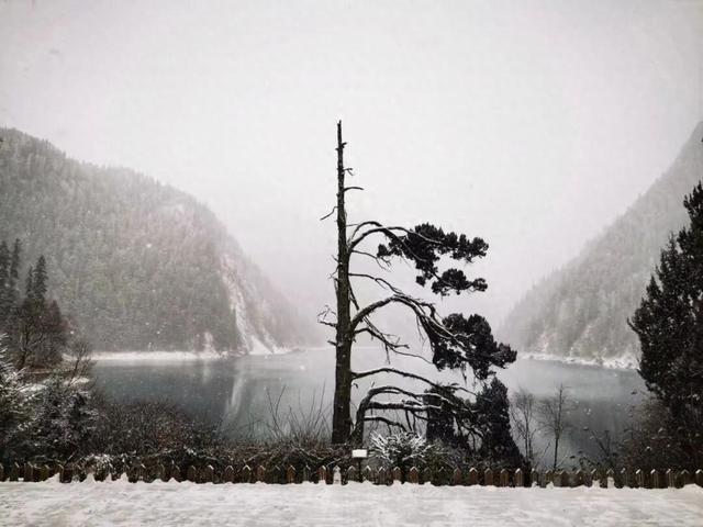 九寨沟发布公告！