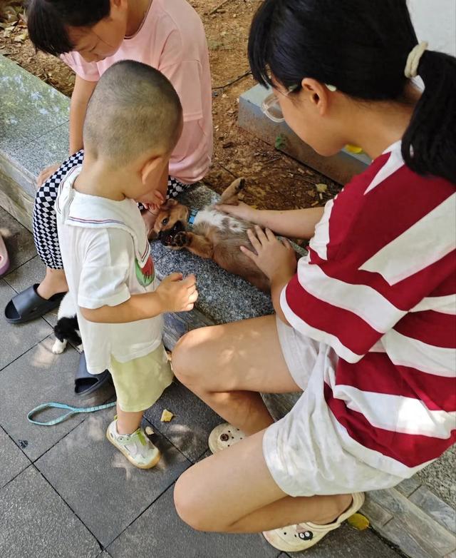 泑游丨总有离别