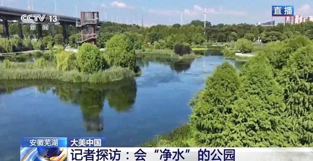 尾水湿地变成生态公园？记者探访芜湖这座会“净水”的公园