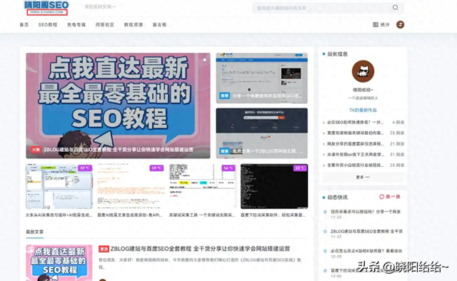 进seo群（网站SEO优化怎么做这份免费的入门到实战视频教程）