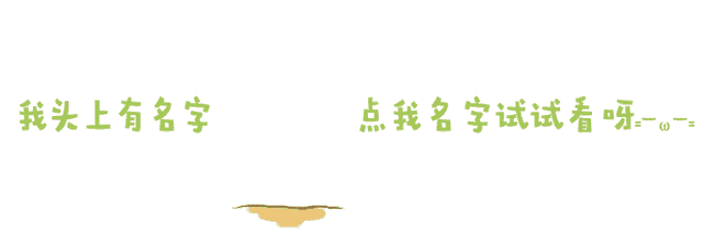 老人咳嗽有痰吃花胶 2026年老人咳嗽有痰吃花胶可以吗