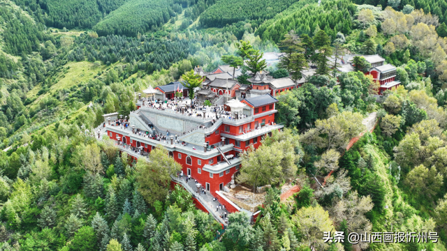 五台山秋日序曲丨漫山初披黄金甲 古寺静听落叶声