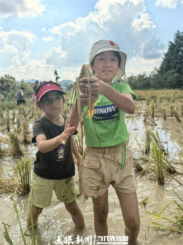 千米高山  黔予乐稻！成都亲子团深入黔东南体验原生态古法农耕