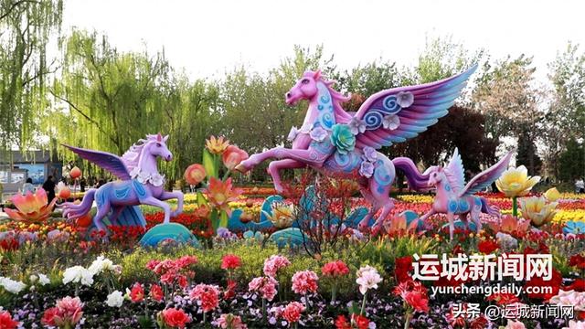 春色漫卷，在舜德花海遇见浪漫