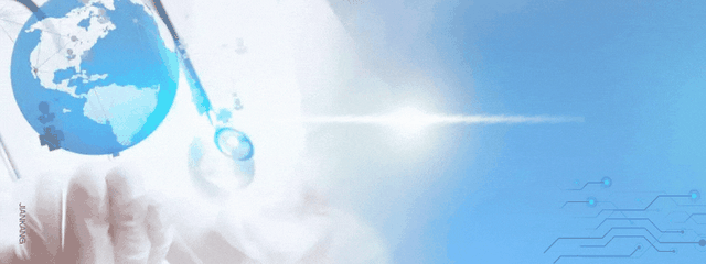 丝瓜再次被关注！研究发现：丝瓜可在一天内清除部分肠道废物