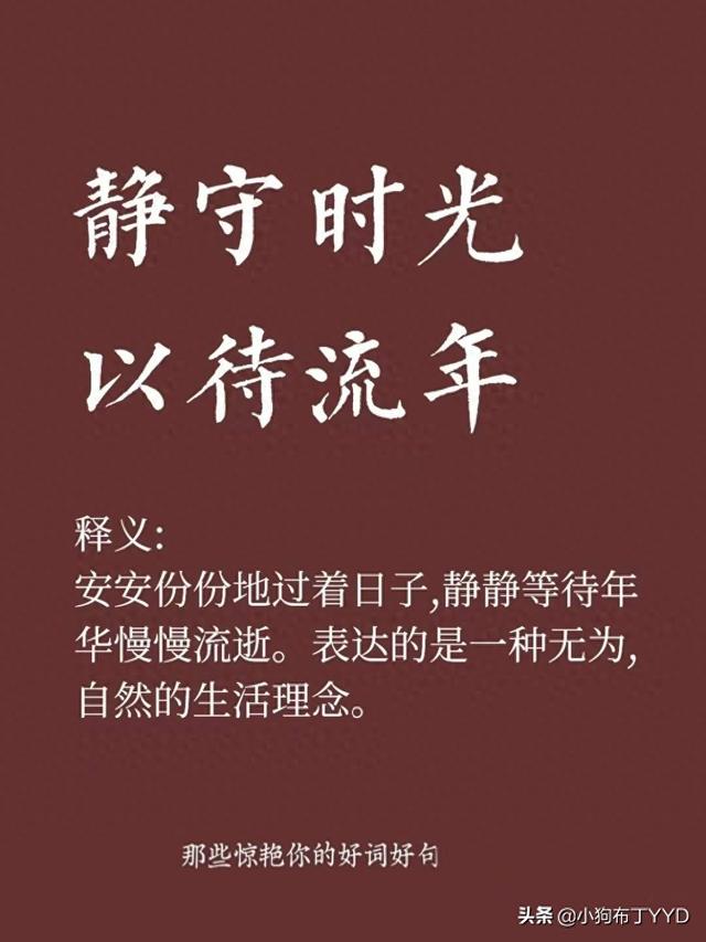冷暖自知的是什么意思（古文今译┃ 静守时光）
