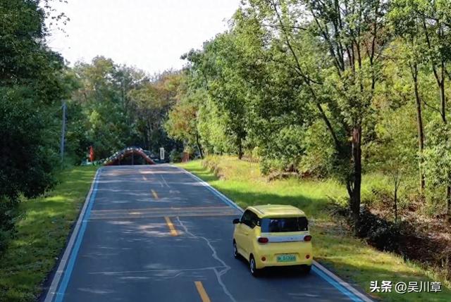 漫游应城“最美公路”，一路畅行，满眼皆景