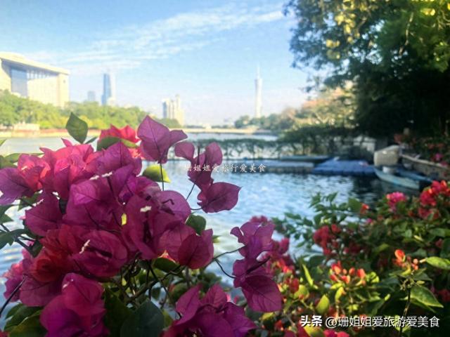 广州暖冬藏“绿韵”，漫步东山湖，畔塔影摇，解锁南北迥异的冬韵