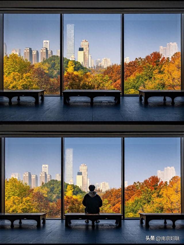 南京这些“魔法之窗”，怎么拍都出片！