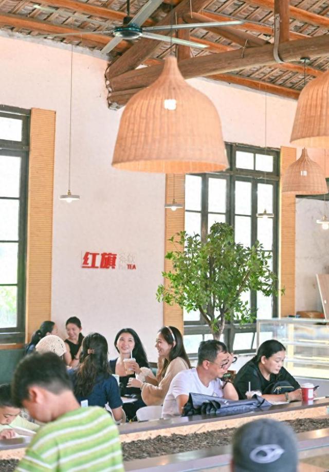 茶香漫溢山间！英德特色化发展刷新“文旅流量”