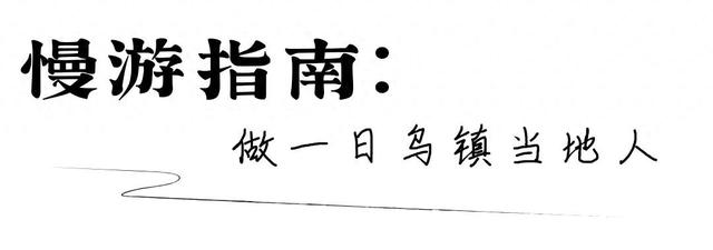 《向往的生活》同款乌镇慢游