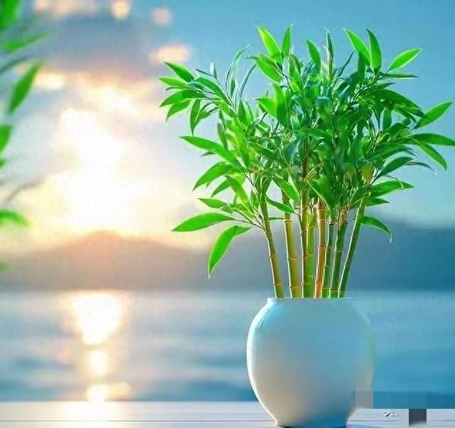 两性晚年新现实：分房睡的夫妻，最后都活成了这两个模样