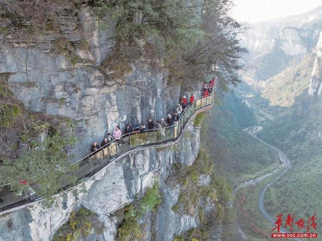 冬日矮寨醉游人