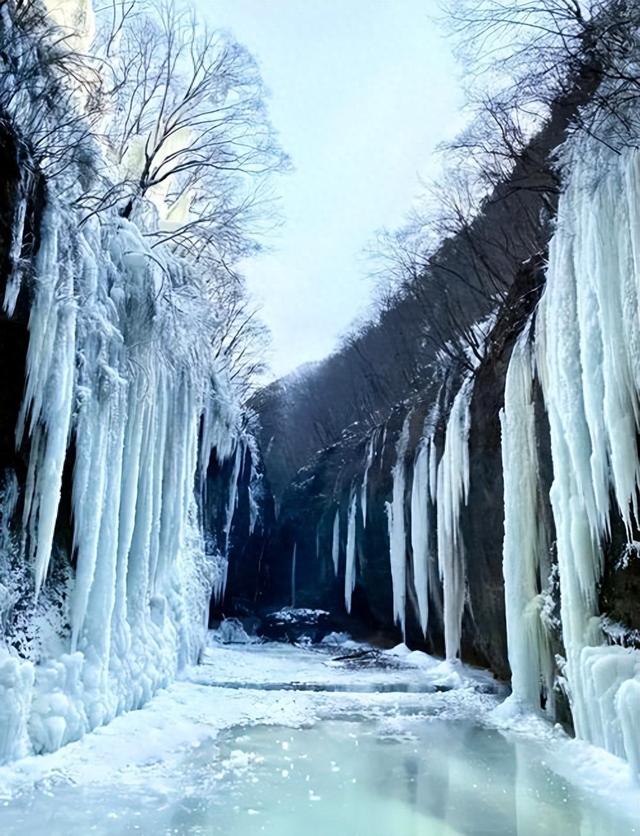 这个冬天，何必远行？铜川的冰雪与古建，藏着最惊艳的冬日盛宴