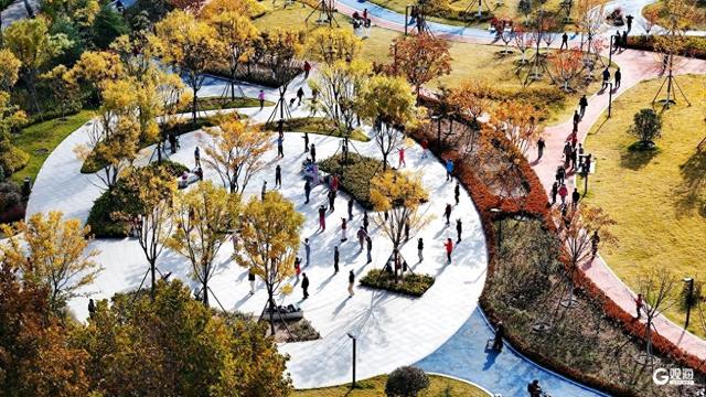 秋日海泊河公园：不必远寻，这里就有“推窗见绿、出门入园”休闲生活