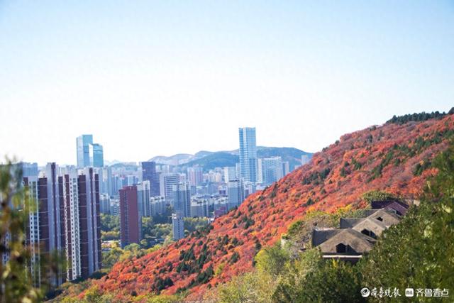 人气超高的蝎子山