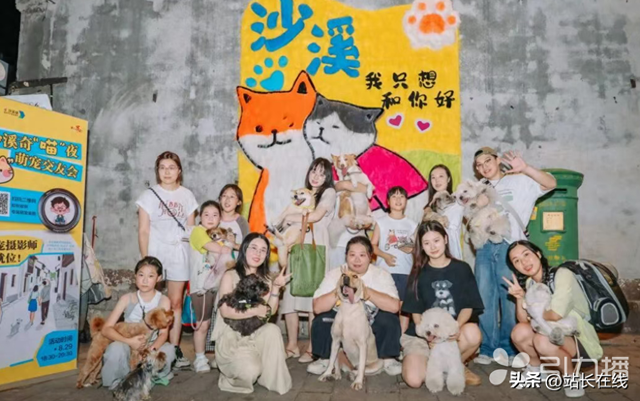 千年古镇变身“毛孩子乐园” 太仓沙溪镇“宠物友好景区”上线