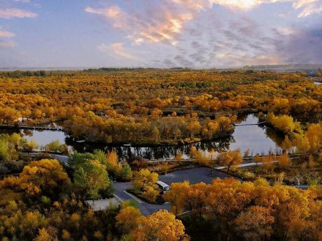 文物特展、非遗市集、民族歌舞……这场文化盛宴包好玩的！