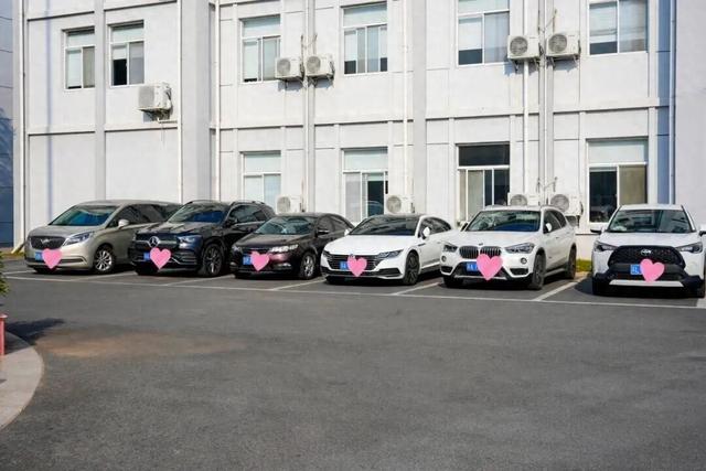 海陵“花式宠粉”，网友：下次还来！