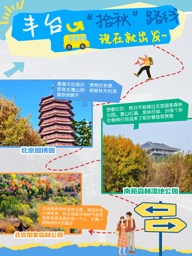“丰”富的生物 | 秋天，请降临在我手心🍁