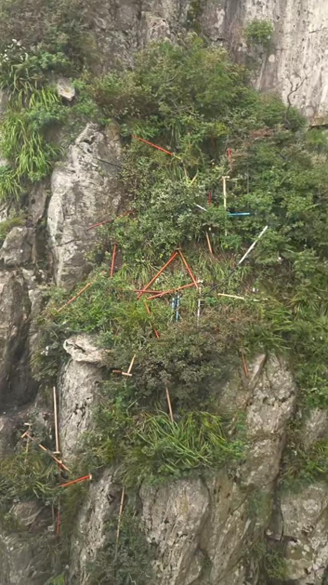 “有没有想过谁收拾？”泰山景区多处可见被丢弃登山杖，悬崖下也有！