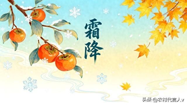 “白天霜降，大雪堵门；晚上霜降，单衣过冬”，今年霜降在哪儿？