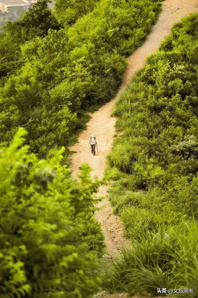 全部免费!解锁长沙10条山林徒步路线