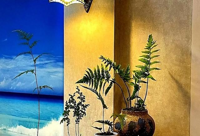 “阴花不能进阳宅”。家里若有这5种花，请赶紧“搬出去”！