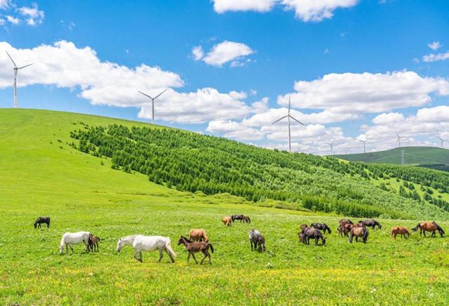 围场满族蒙古族自治县：皇家猎苑的21℃盛夏，满蒙风情的星空牧歌