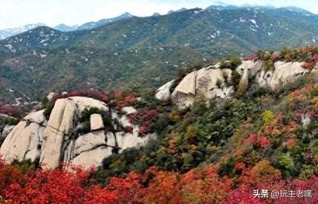 红叶黄栌正当时