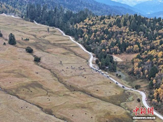 外国人士西藏林芝行 有很多“没想到”