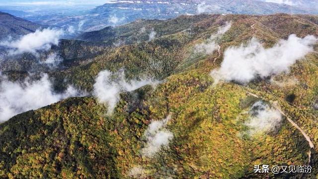 汾西姑射山：金秋红叶进入最佳观赏期 层林尽染绘就秋日画卷